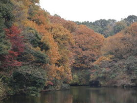 鎌倉湖