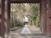 鎌倉・寿福寺